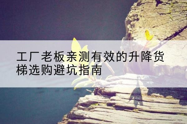 介休升降货梯怎么选-工厂老板亲测有效的升降货梯选购避坑指南