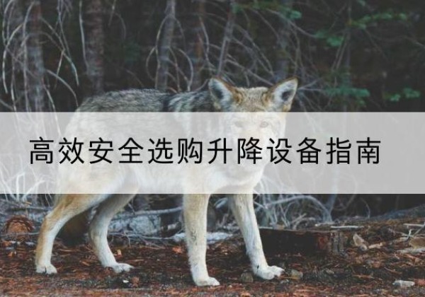 介休升降货梯厂家推荐-*安全选购升降设备指南