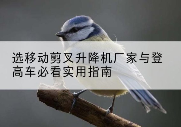 介休电动升降机厂家-选移动剪叉升降机厂家与登高车必看实用指南