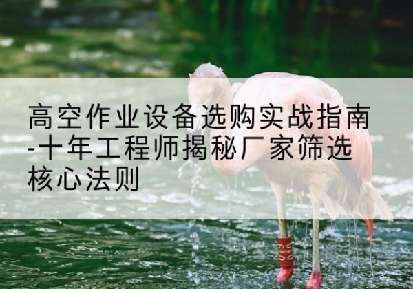 介休剪叉式升降机厂家-高空作业设备选购实战指南-十年工程师揭秘厂家筛选核心法则